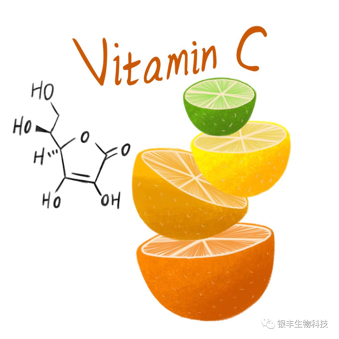 1672628469647082.png image.png