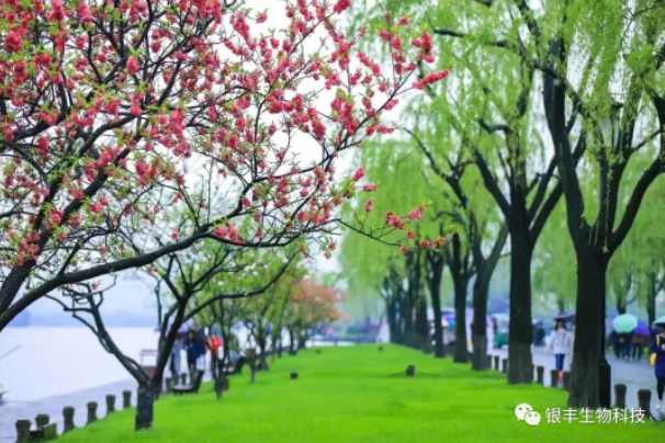 1681695562725905.png image.png